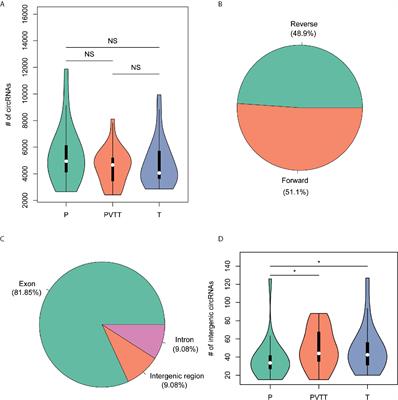 Multiple Omics Integration Reveals Key Circular RNAs in Hepatocellular Carcinoma